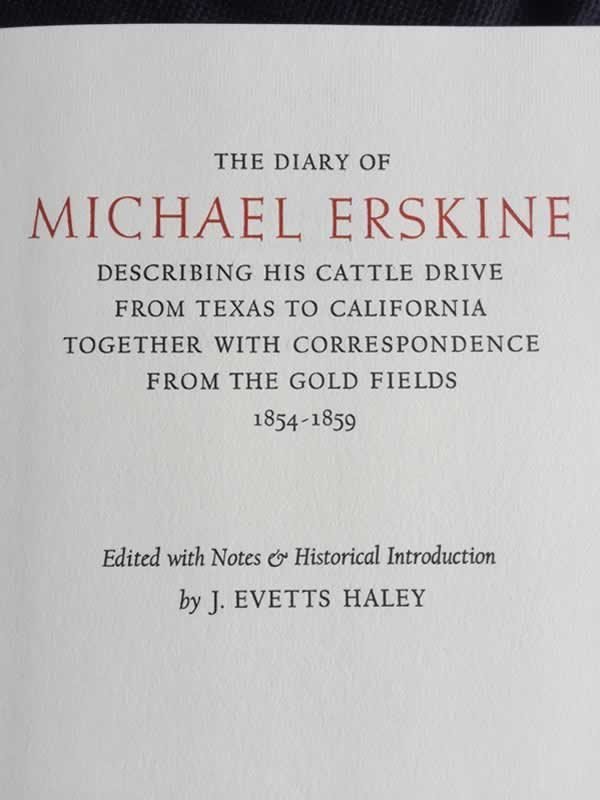 The Diary of Michael Erskine