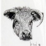 Cow Head - Bill Owen, Signed and Numbered Print