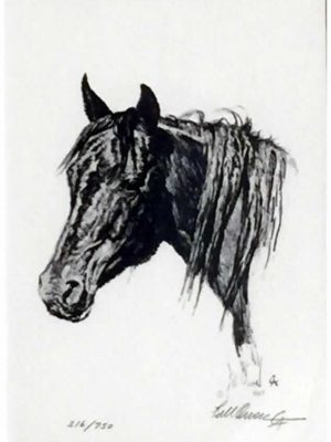 Horse Head - Bill Owen, Signed and Numbered Print