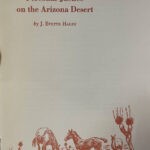 personal justice on the arizona desert